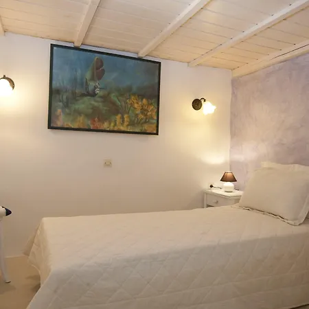 Navy Blue 오르노스